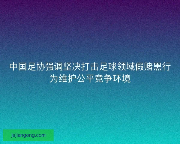中国足协强调坚决打击足球领域假赌黑行为维护公平竞争环境
